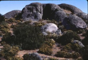 Figure 16. The Lion (south side near Santa Maria)