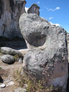 This group of sculptures is supposed to represent young women dancing during one of the festivities celebrated by the village. The first photo was taken by Daniel Ruzo with a green filter in the 1950s. The second shows a stone that resembles an owl in front of the Mayoralas which appears to have been sculpted and may represent a marker (M-7). Geo-references are given in Table 1.