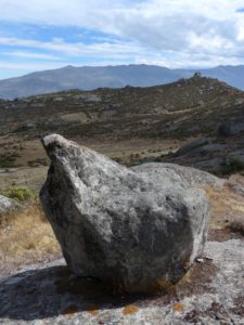 M-2 is a polymorphic rock which rests on a stone surface very near scarface (Table 1). Photos are from July 2014 and June 2016.