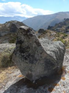 M-2 es una roca polimorfica que se encuentra muy cerca en frente de la cara cortada (Tabla 1). Como M-1, esta tambien reposa sobre un suelo de piedra. Fotos de Julio 2014 y Junio 2016.