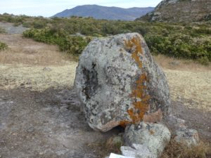 If M-3 is viewed as a head with the eyes in the darkened section it would have a line of sight of 90 degrees east. It also rests on a smooth stone floor. Photo in July 2014.