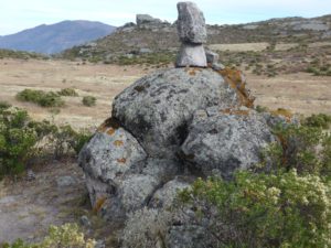M-4 (Table 1) appears to be composed of several heads that are heavily eroded. The stones resting on top have been placed there in the past twenty years. Again, below it we see a stone floor.  M-4 corresponds to the star Alcyone, several lines converge on this structure (Figures 29-31).