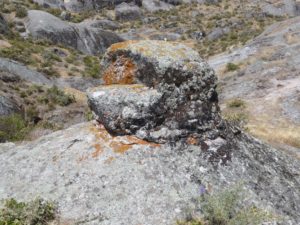 Este marcador luce un asiento con linea de mira de 45 grados noreste (Figura 22b, Tabla 1) y una cara mirando al lado opuesto (Figura 22c).