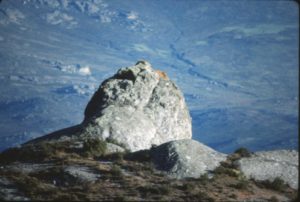 This lion (Table 1) on the north side of the plateau is designated as “African” to distinguish it from another lion found in the zone of Santa Maria. The structure corresponds to the Pleiad Merope (Figures 29-31)
