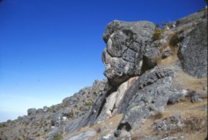Esta estructura da la impresion de ser una cabeza con cortes profundos en las mejillas. Esta justo detras de M-2.