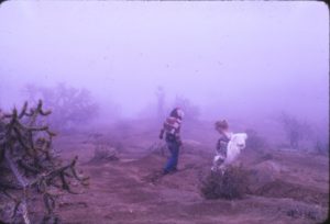 Figura 28. Bajada por el camino corto en la niebla de Diciembre