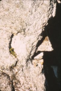 Esta cara presenta una linea de mira (Tabla 1) hacia el norte (315 grados o 7/8 del circulo). La nariz la define, los ojos estan en la obscuridad pero el menton, oreja y gorro o casco son evidentes. Esta muy cerca al precipicio del lado oeste. Existen muchas fotos del Caballero en diferentes epocas del ano sin gran diferencia y siempre visible.