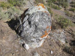 Este marcador aparenta ser una cabeza y mira hacia la Peca Gasha (Tabla 1). Notese que esta cubierto con liquenes rojos, similar a varios de los otros marcadores, y que reposa sobre el suelo de piedra. M-1 corresponde a la estrella Atlas de las Pleyades (Figuras 29-31). Foto de Junio 2014.